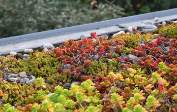 the cost of Racecourse green roof installation