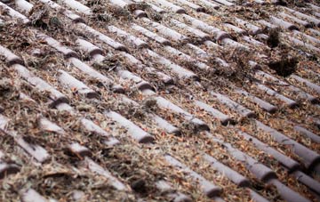 Racecourse roof cleaning companies