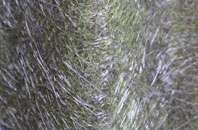 Racecourse fibreglass roof work